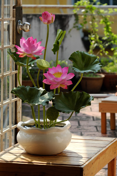 人造花，粘土莲花花