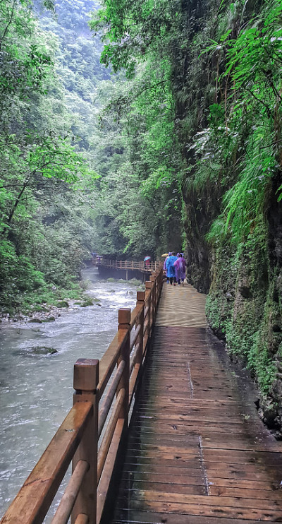 大峡谷玻璃桥徒步旅行，武陵源-张家界，中国