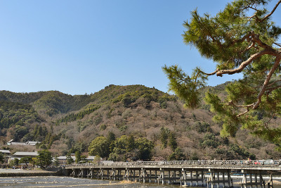 京都岚山-桂河边的景色-京都日本