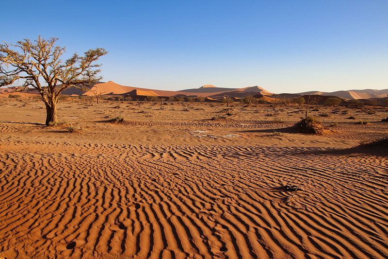 巨大的红色沙丘Sossusvlei Namib沙漠-纳米比亚- naukluft国家公园，纳米比亚，