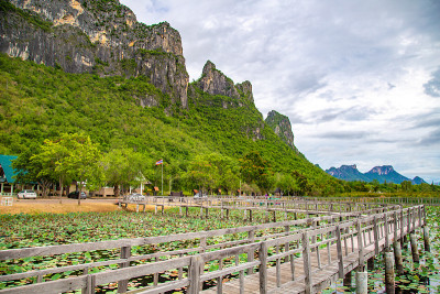 Sam Roi Yot淡水沼泽，走过沼泽，在泰国Prachuap Khiri Khan的Sam Ro