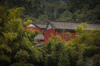 佛教寺院建筑坐落在竹林中