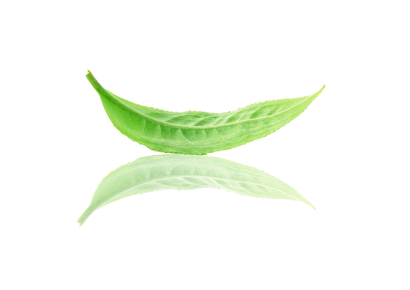 白色背景上孤立的绿茶叶子。