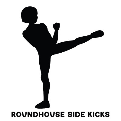 Roundhouse side kicks. Side kick. Sport exersice. 