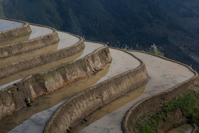 中国云南元阳梯田