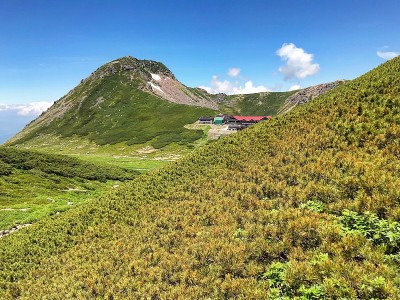 诺里库拉达克