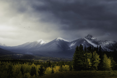 秋天的风景