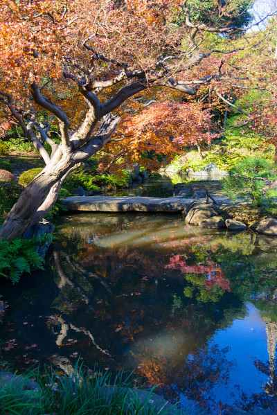 秋日的东京古川花园