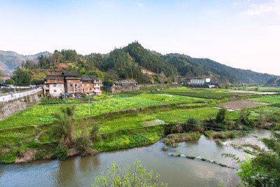 花园，稻田，茶园