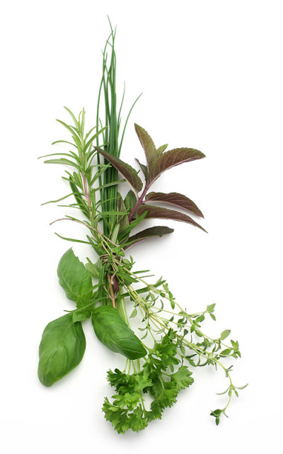 新鲜香草