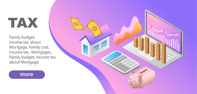 3 d演示。个人税务咨询在线服务概念等距网页设计与业主财产收入申报插图“r”n