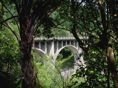 平衡桥，新西兰