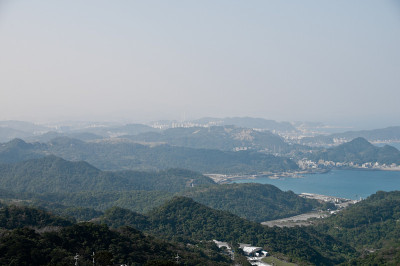 高山瞭望台俯瞰森林