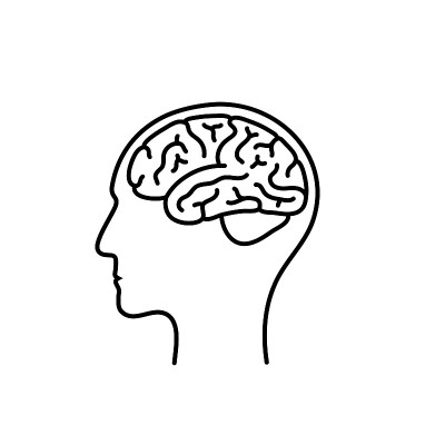 人脑解剖的矢量图解