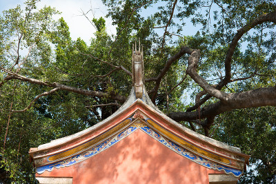 孔庙天台