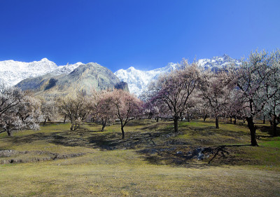 巴基斯坦的山脉和山峰