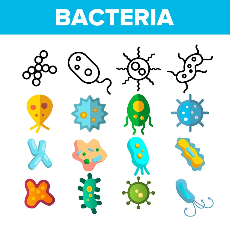 细菌，细菌细胞矢量细线图标设置