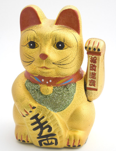 欢迎猫