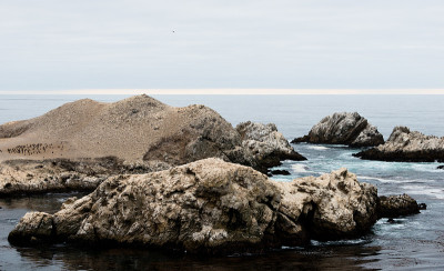 Point Lobos State Reserve