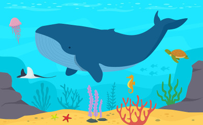 鲸鱼在海里游泳。水下生活。海龟，水母，海马，黄貂鱼。海洋生物矢量插图背景。