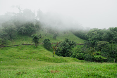 多云山景观