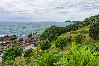 2018年1月15日，新西兰Tauranga: Mount Maunganui的岩石形成
