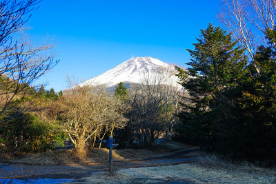 在水津冢公园，我欣赏着富士山在冬季渐近的景色。