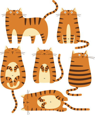 把猫