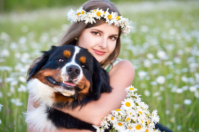 戴着甘菊花环的女人和伯恩山地犬。女孩的狗
