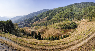 风景起伏的龙胜梯田收获后-广西桂林市北部
