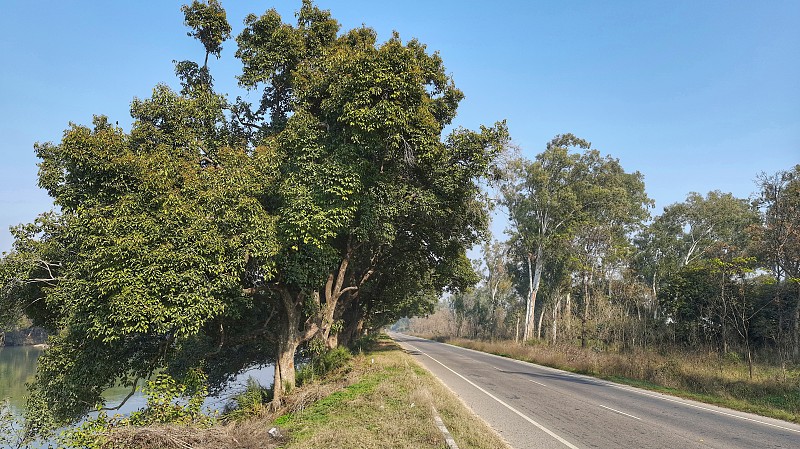 美丽的州高速公路，树木环绕，河流顺流而下。