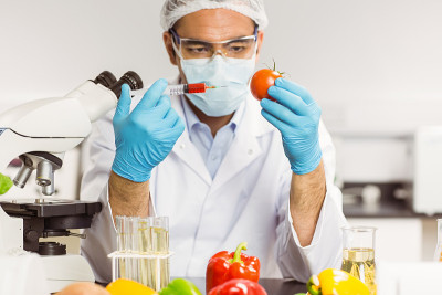 食品科学家给番茄注射