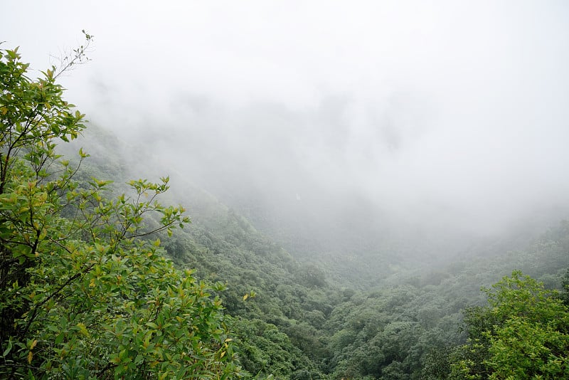 印度最潮湿的地方，卡西山;乞拉朋齐