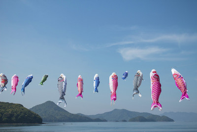鲤鱼等浮电缆