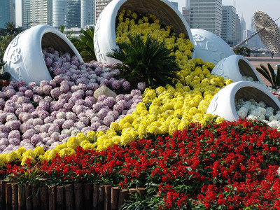 美丽的花坛在亚洲城市上海，中国