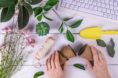 女性手拿泥炭盆，用来种植榕树插枝。