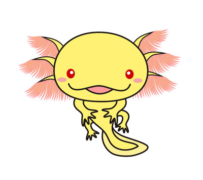 一个horlotl Woper looper角色插图