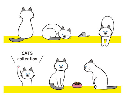 尖猫，玩具和猫粮