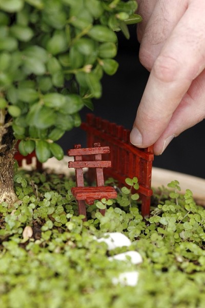 爱好园艺、花木造型