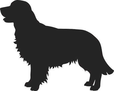 金毛猎犬矢量剪影