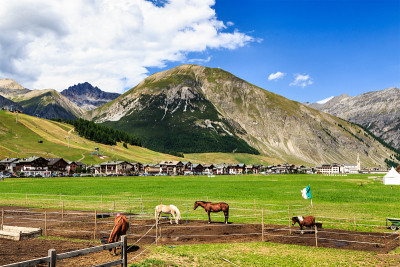 Livigno