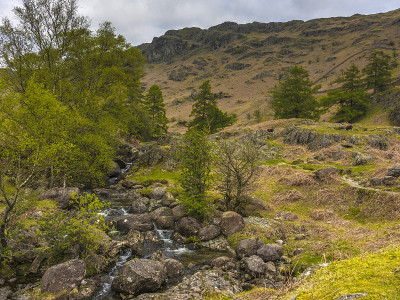 英国郡景观-远Easedale Gill Ft. Herdwick Sheep