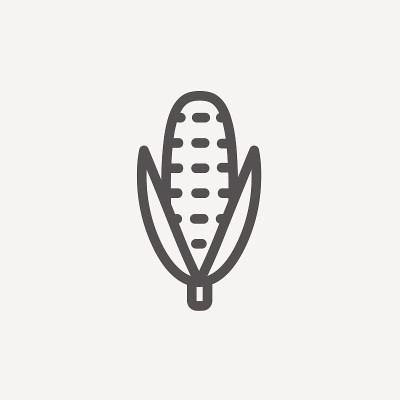玉米细线图标