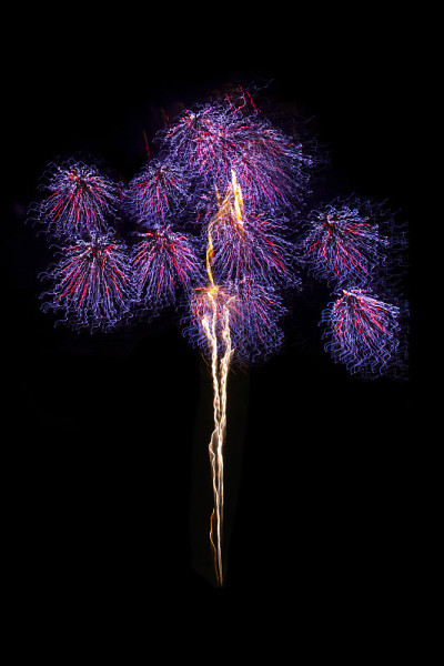 烟花照亮了夜空