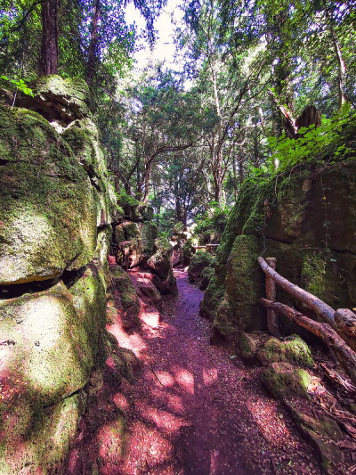 神奇的Puzzlewood