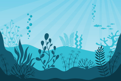 海洋生物。美丽的海洋生态系统