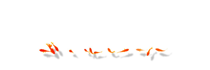鱼