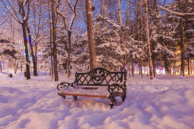 雪后的公园