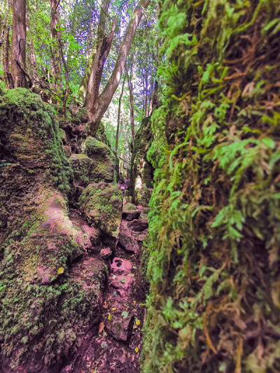 神奇的Puzzlewood