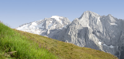 山